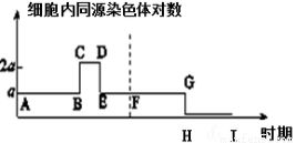 深海熱泉生態(tài)系統(tǒng)中的硫細菌角色分析
